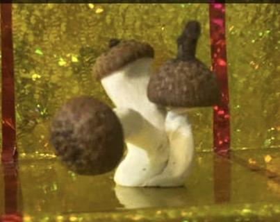 126 Бондарев Миша